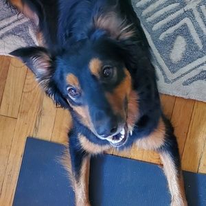 Meet your Posher, Beata